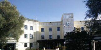 Solidarietà dell’Amministrazione di Rosarno a Patrizia Rodi Morabito: colpire un’azienda agricola è colpire una comunità