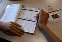 Quasi tutte le scuole calabresi attive contro la violenza sulle donne: progetti nel 98,1% degli istituti