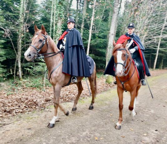 Carabinieri a cavallo nelle Serre vibonesi e nell’area del monte Poro: avviati i servizi di controllo del territorio
