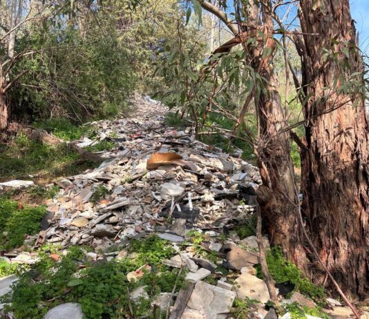 Carabinieri, controlli ambientali e tutela del territorio
