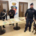Gioia Tauro, arrestato un uomo per spaccio di droga: sequestrati cocaina, marijuana e contanti
