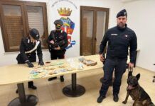 Gioia Tauro, arrestato un uomo per spaccio di droga: sequestrati cocaina, marijuana e contanti
