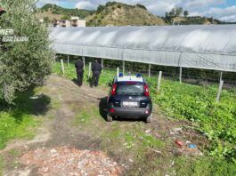 Carabinieri scoprono serre abusive e furto d’acqua a San Luca