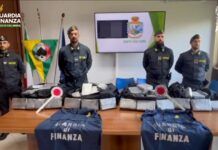 Porto di Gioia Tauro, maxi sequestro di cocaina: intercettati 248 chili, colpo da 40 milioni di euro
