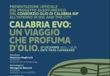 Calabria EVO: un viaggio che profuma d’olio – Il progetto oleoturistico del Consorzio Olio di Calabria IGP debutta a Catanzaro