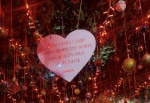 Rosarno, grande successo per l’inaugurazione della Via del Natale e il Villaggio degli Elfi: tradizione, magia e partecipazione