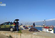 Guardia di Finanza, controlli sul lavoro marittimo lungo la costa calabra: sanzioni per 30 mila euro