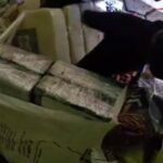 Maxi sequestro di cocaina al porto di Gioia Tauro: oltre 435 kg nascosti in un carico di noccioline