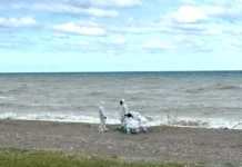 Calabria – cadavere trovato in spiaggia