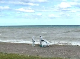 Calabria – cadavere trovato in spiaggia