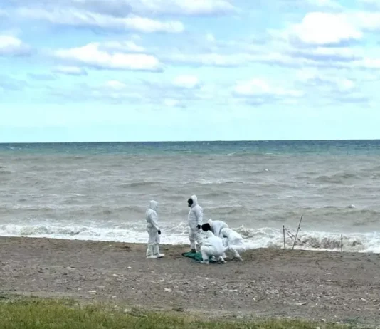 Calabria – cadavere trovato in spiaggia