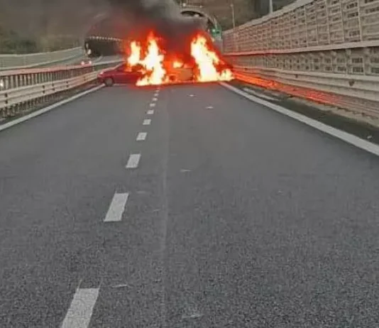 Rapina da 2 milioni a un portavalori sulla A2 tra Scilla e Bagnara