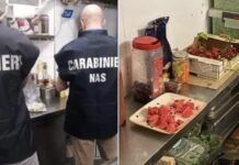 Operazione NAS: tonnellata di alimenti sequestrata e due negozi chiusi per gravi irregolarità