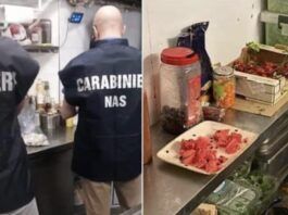 Operazione NAS: tonnellata di alimenti sequestrata e due negozi chiusi per gravi irregolarità