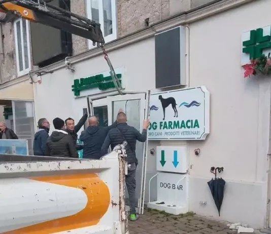 Sfondano vetrina farmacia e prelevano da casse automatiche – rapina nella notte