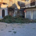 Rosarno – Via del Natale, rubato parte del verde utilizzato per l’allestimento: la denuncia di A.fe.Ro