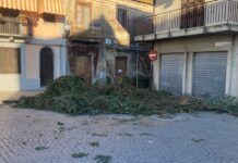 Rosarno – Via del Natale, rubato parte del verde utilizzato per l’allestimento: la denuncia di A.fe.Ro