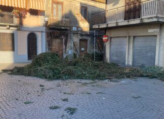 Rosarno – Via del Natale, rubato parte del verde utilizzato per l’allestimento: la denuncia di A.fe.Ro