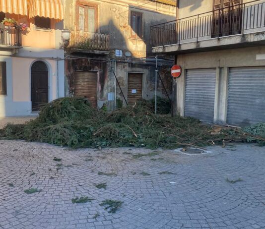 Rosarno – Via del Natale, rubato parte del verde utilizzato per l’allestimento: la denuncia di A.fe.Ro