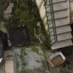 Rosarno – emergenza rifiuti e invasione di topi: la segnalazione di una residente esasperata