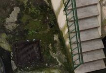 Rosarno – emergenza rifiuti e invasione di topi: la segnalazione di una residente esasperata