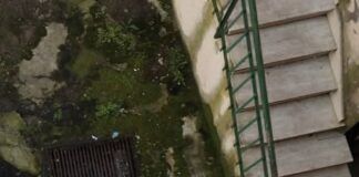 Rosarno – emergenza rifiuti e invasione di topi: la segnalazione di una residente esasperata