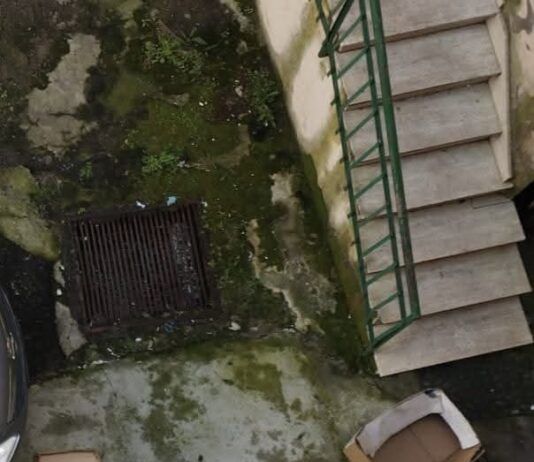 Rosarno – emergenza rifiuti e invasione di topi: la segnalazione di una residente esasperata