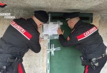 Migranti ammassati in un immobile fatiscente: blitz dei Carabinieri e sequestro immediato