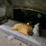 Senzatetto nelle nicchie del cimitero: il freddo trasforma i loculi in rifugi di fortuna