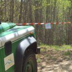 Parco dell’Aspromonte: operazioni dei Carabinieri Forestali contro tagli illegali e furto di legname