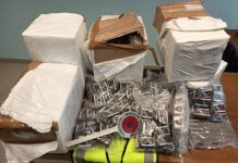 Arrestato corriere della droga sull’A2: la Polizia Stradale sequestra 93 kg di hashish