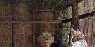 Si mimetizza tra le statue del presepe, arrestato latitante