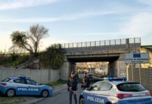 Controlli straordinari della Polizia di Stato tra Gioia Tauro e Rosarno: identificate oltre 1.500 persone