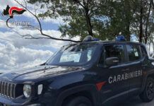 Pesce venduto dal bagagliaio dell’auto senza refrigerazione: uomo deferito dai carabinieri