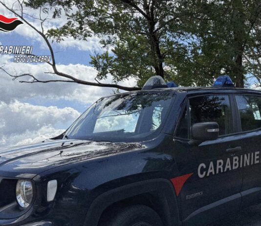 Pesce venduto dal bagagliaio dell’auto senza refrigerazione: uomo deferito dai carabinieri