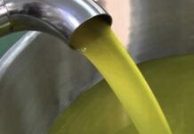 COLDIRETTI/UNAPROL, raddoppio import olio tunisino a dazio zero: grave danno per la nostra regione. Scelta suicida, vanno fermati gli industriali italiani trafficanti di olio