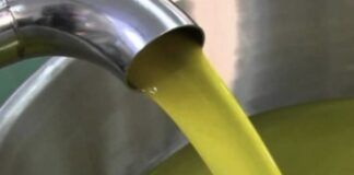 COLDIRETTI/UNAPROL, raddoppio import olio tunisino a dazio zero: grave danno per la nostra regione. Scelta suicida, vanno fermati gli industriali italiani trafficanti di olio