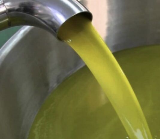 COLDIRETTI/UNAPROL, raddoppio import olio tunisino a dazio zero: grave danno per la nostra regione. Scelta suicida, vanno fermati gli industriali italiani trafficanti di olio