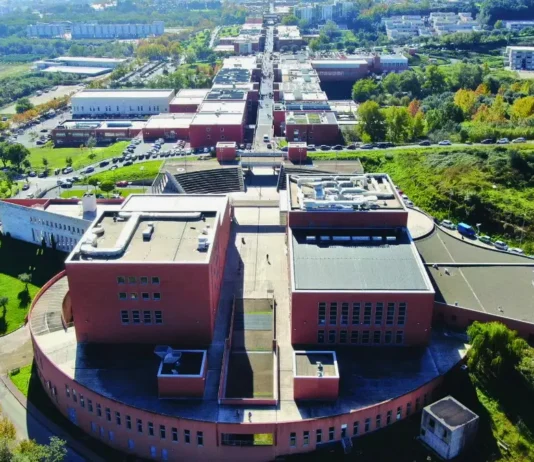 Università della Calabria: riconoscimento internazionale in 7 discipline nel 2026