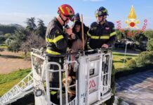 La Befana dei Vigili del Fuoco in visita all’Ospedale “Giovanni Paolo II” di Lamezia Terme