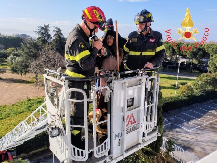 a6e07a93-1a6d-4f92-baac-3962df0d7899