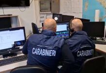 Maxi Operazione dei Carabinieri: 7 Arresti per Favoreggiamento del Latitante Occhiuzzi