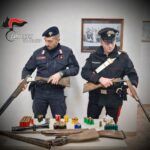 Blitz dei Carabinieri porta alla luce armi illegali e cani maltrattati