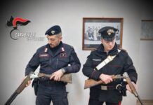 Blitz dei Carabinieri porta alla luce armi illegali e cani maltrattati
