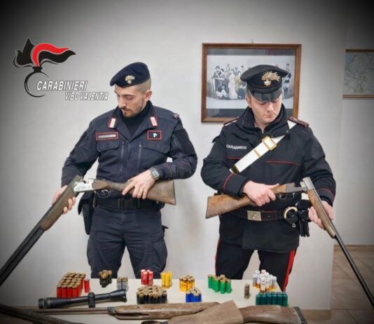 Blitz dei Carabinieri porta alla luce armi illegali e cani maltrattati