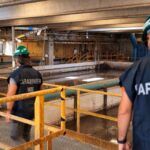 Impianti di depurazione di Reggio Calabria sotto sequestro: gravi irregolarità ambientali