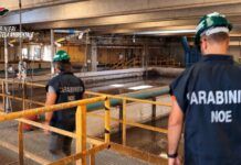 Impianti di depurazione di Reggio Calabria sotto sequestro: gravi irregolarità ambientali