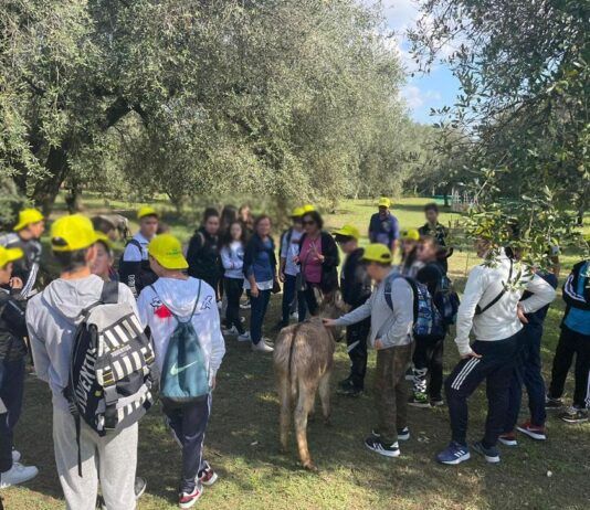 Abbruzzese, Terranostra Campagna Amica: bene proposta di Cotarella per l’ora settimanale di “educazione agroalimentare” nelle scuole