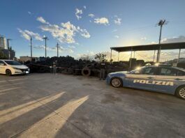 Operazione interforze contro criminalità e reati ambientali: rafforzati i controlli sul territorio