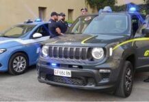 Operazione interforze “Focus ’Ndrangheta”: controlli a tappeto, sanzioni e attività sospese